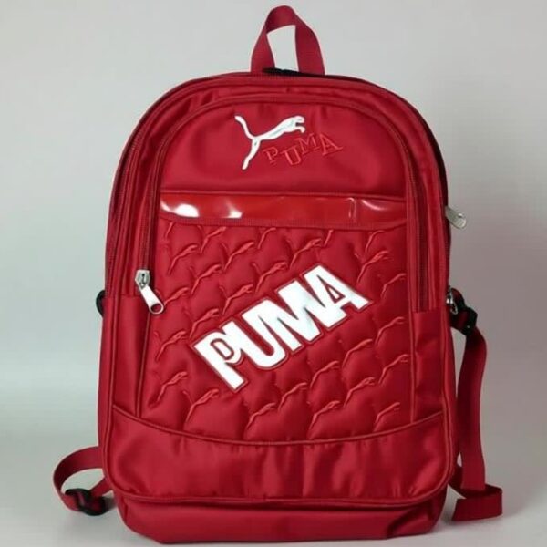 Laptop-Office Backpack - Red -Multi-Compartments, Export Quality Material & Water-Resistant Swiss Design